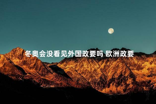 冬奥会没看见外国政要吗 欧洲政要